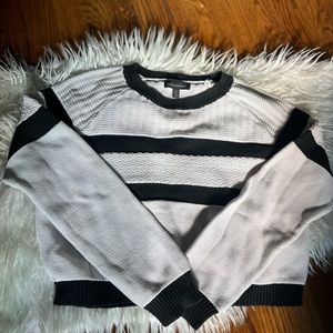 BR knit rugby style crop sweater